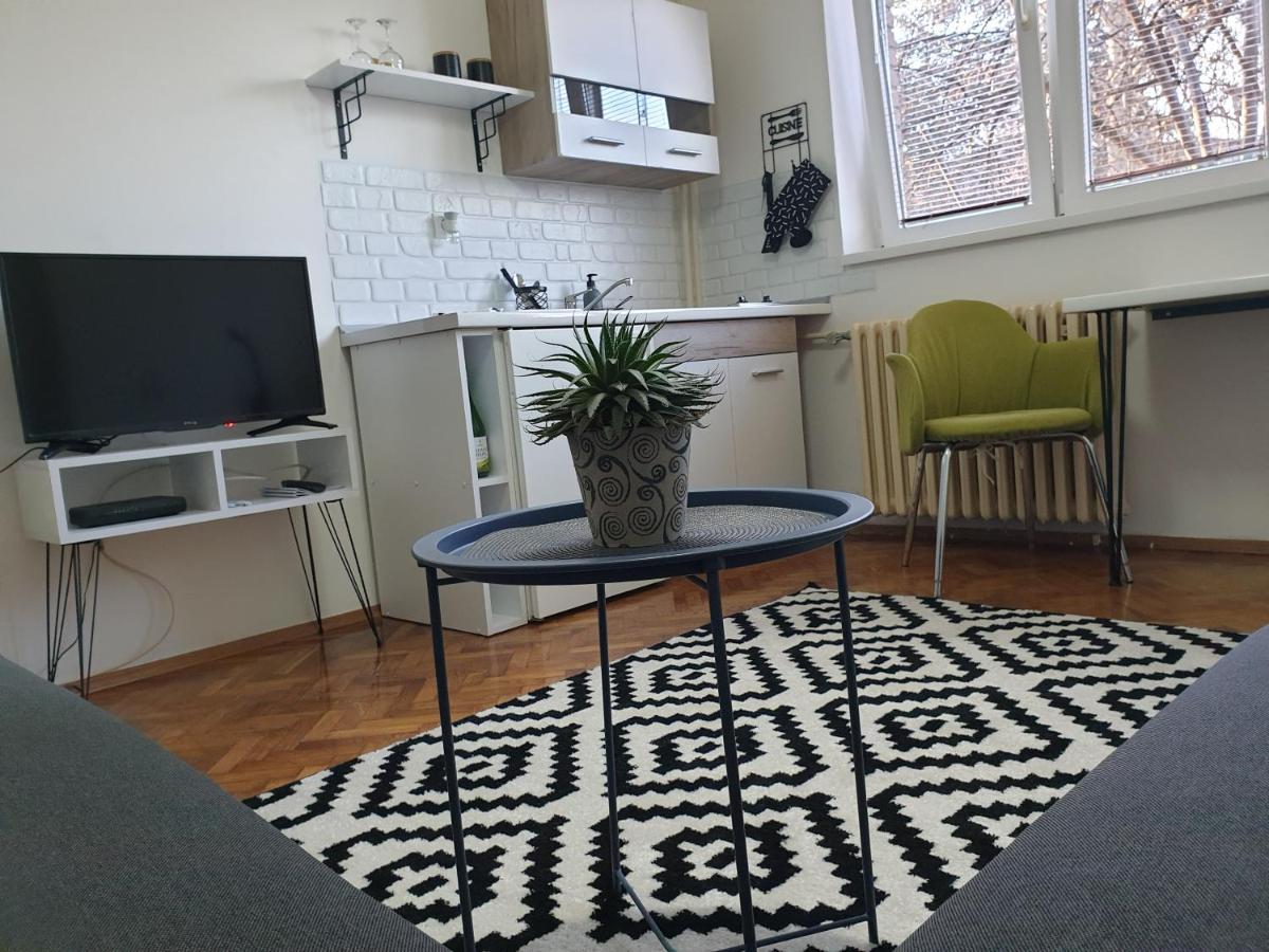 Apartman Park Jagodina-Studio U Centru Grada Kültér fotó